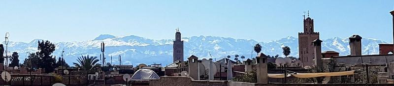 Riad Bilkis Villa Marrakesh Eksteriør bilde